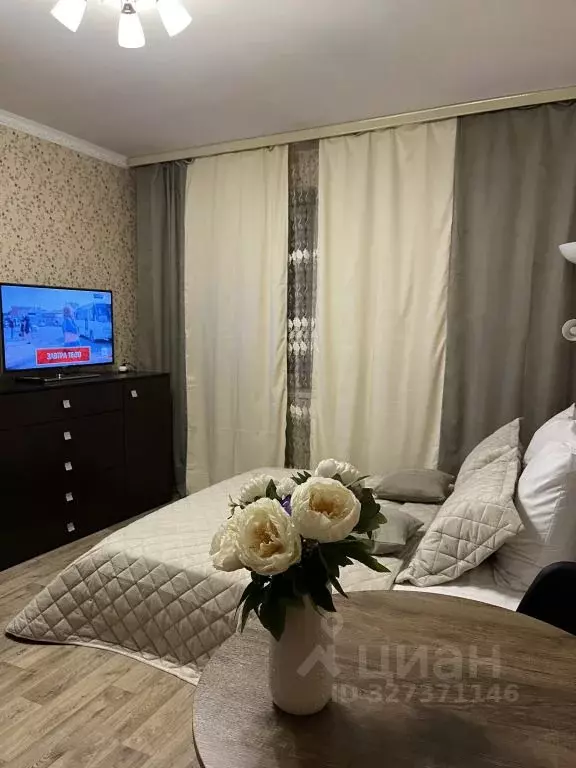 1-к кв. Московская область, Ногинск Богородский городской округ, ул. ... - Фото 1