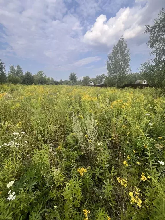Участок в Воронежская область, Воронеж Дубрава СНТ, ул. Еловая, 394 ... - Фото 1