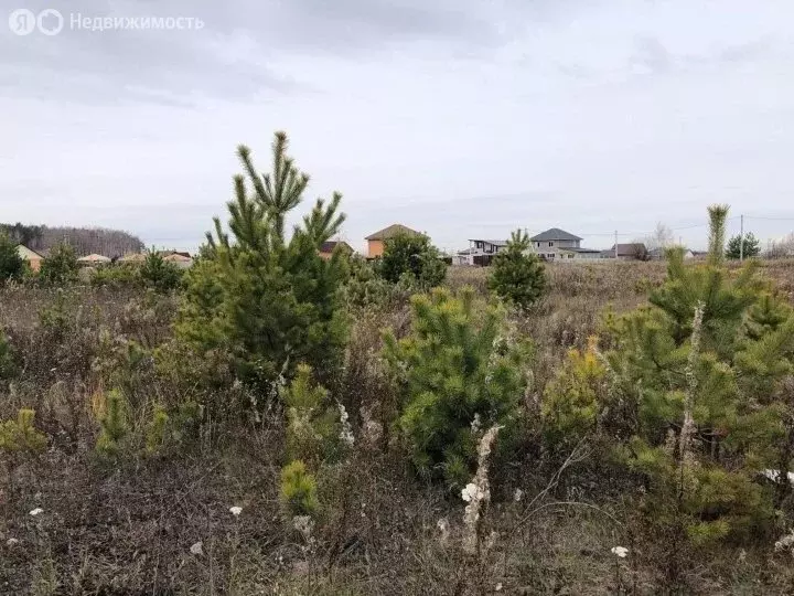 Участок в Тюменский район, ДНТ Воскресенье-1, Воскресная улица (10 м) - Фото 0