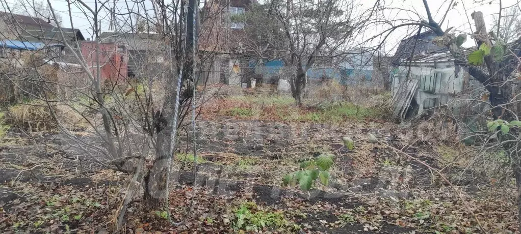 Участок в Тюменская область, Тюмень Мелиоратор садовое товарищество, ... - Фото 2