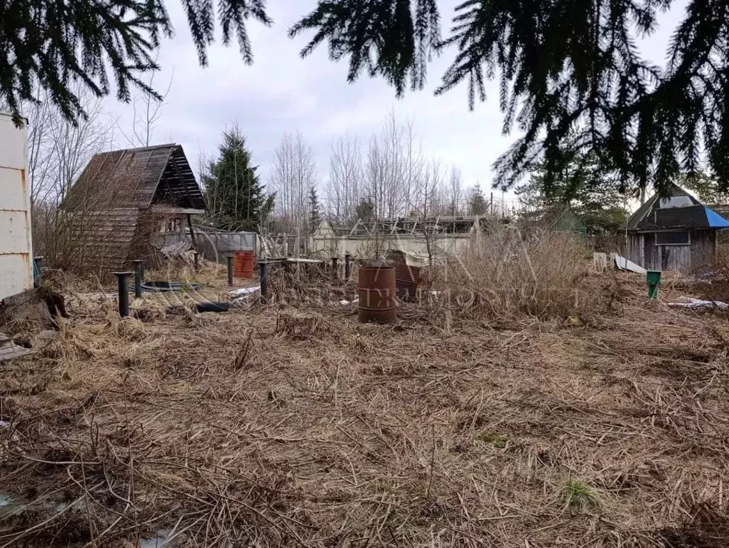 Участок в Ленинградская область, Кировский район, Мгинское городское ... - Фото 2