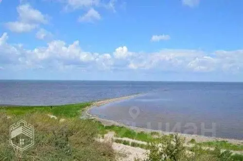 Участок в Новгородская область, Старорусский район, Наговское с/пос, ... - Фото 1