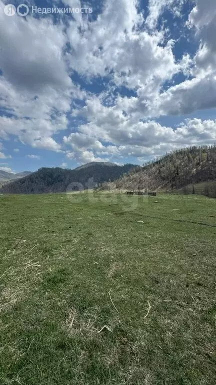 Участок в Шебалинский район, село Верх-Апшуяхта (499.07 м) - Фото 1