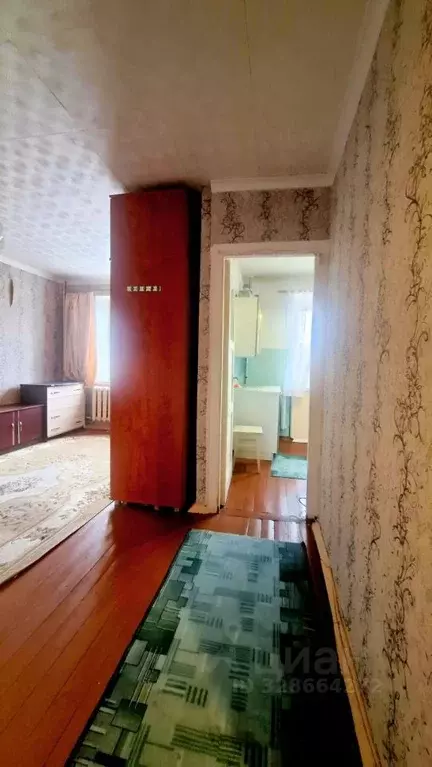 1-к кв. Мурманская область, Североморск ул. Ломоносова, 10 (30.5 м) - Фото 1