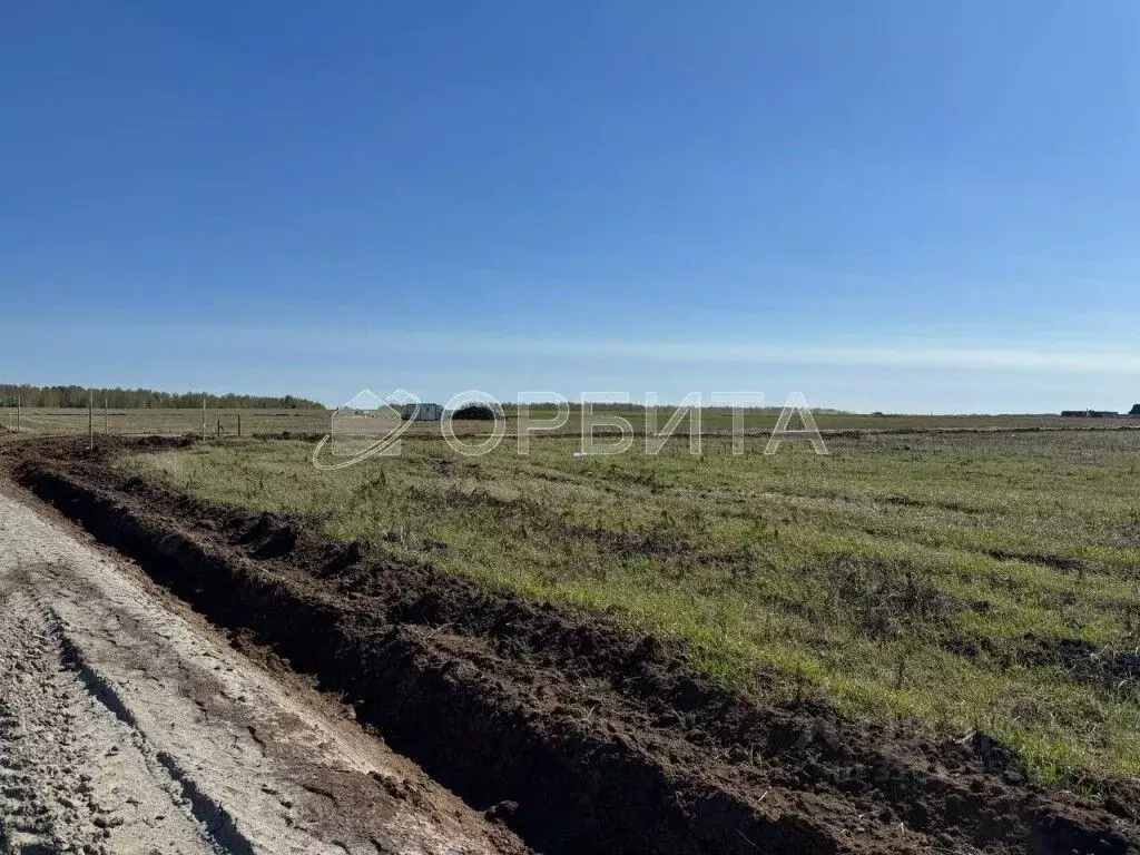Участок в Тюменская область, Тюменский район, Винзили рп  (13.0 сот.) - Фото 0