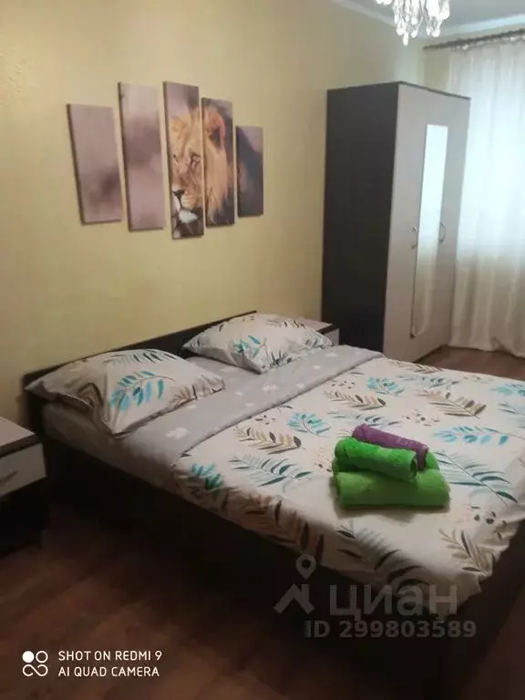 1-к кв. Московская область, Ивантеевка Пушкинский городской округ, ... - Фото 2