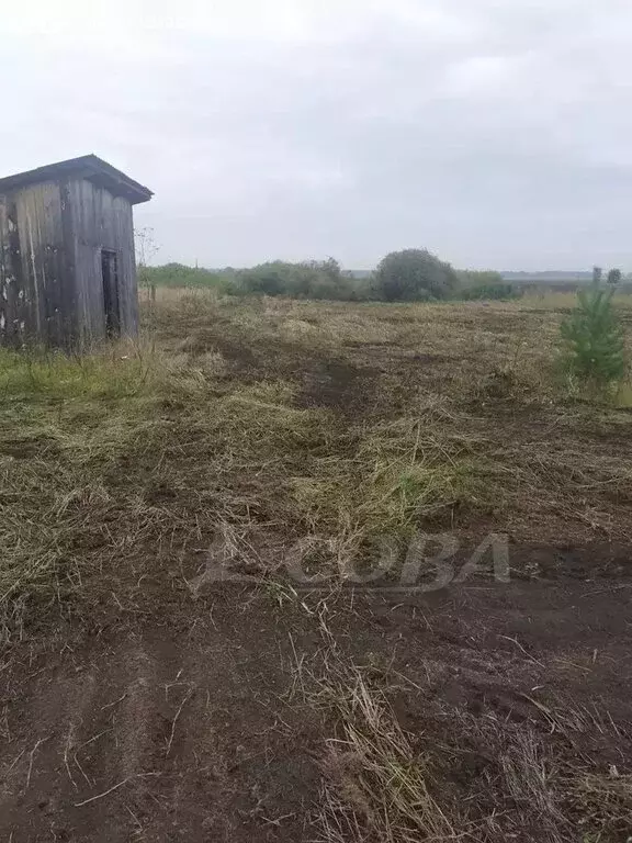 Участок в Свердловская область, Тугулымский муниципальный округ, село ... - Фото 0