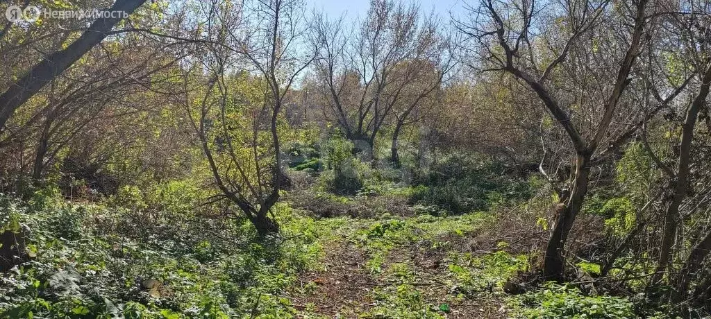 Участок в Красногорский район, посёлок Долина Свободы, Зелёная улица ... - Фото 1