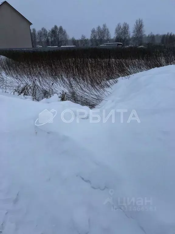 Участок в Тюменская область, Тюменский район, с. Червишево  (15.0 ... - Фото 1