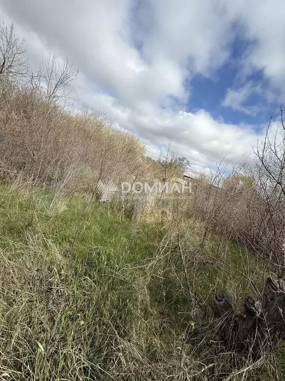Участок 4,8 сот. (СНТ, ДНП) - Фото 0