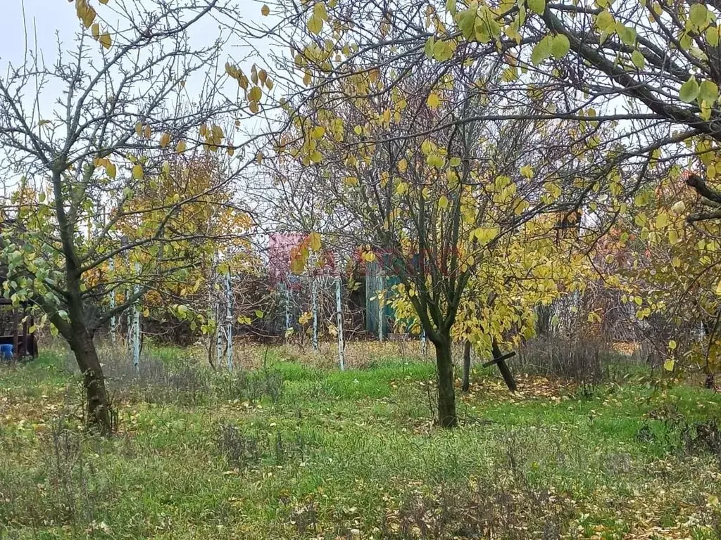 Участок в Ростовская область, Неклиновский район, с. Синявское ул. ... - Фото 0