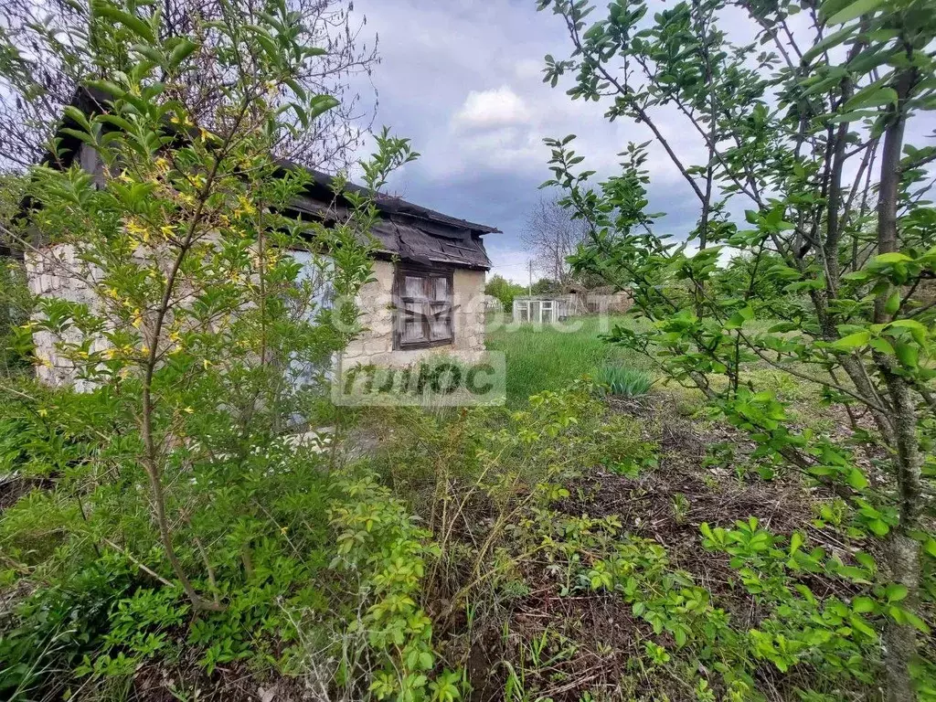 Участок в Курская область, Курск Юбилейное садовое товарищество, 6-я ... - Фото 0