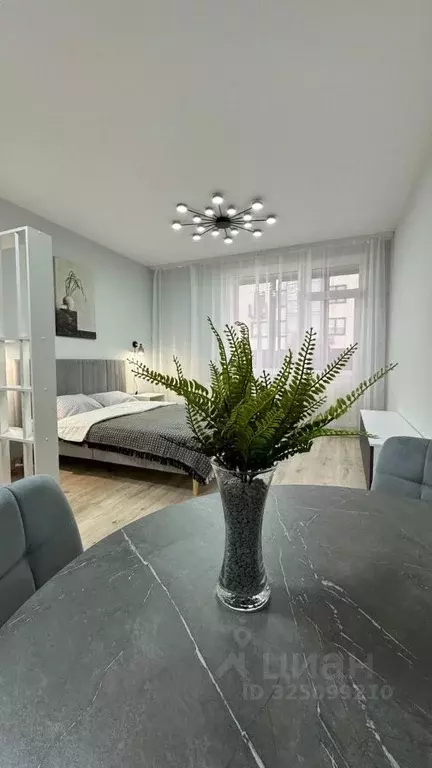 Студия Пермский край, Пермь ул. Решетникова, 24 (30.0 м) - Фото 1