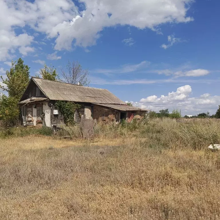 Участок в Саратовская область, Энгельсский район, Терновское ... - Фото 0