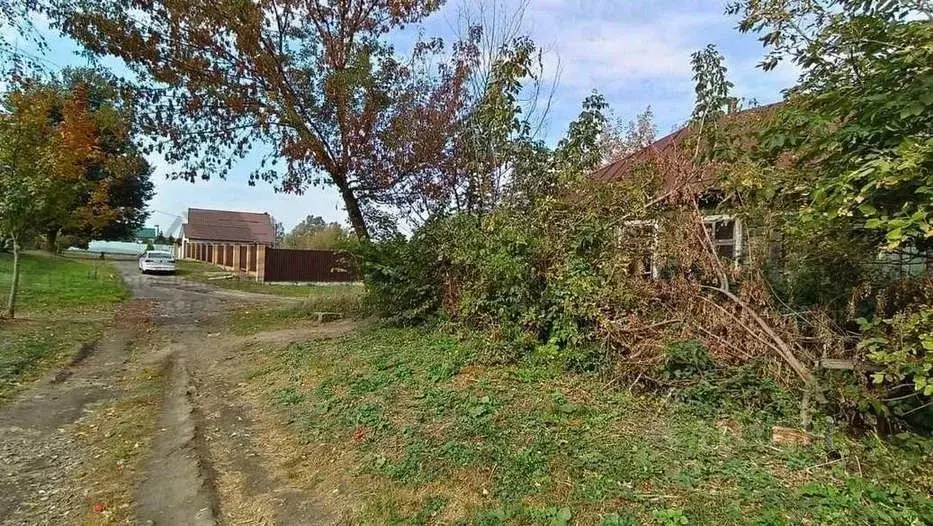 Участок в Калужская область, Сухиничи ул. Некрасова, 7 (8.0 сот.) - Фото 0