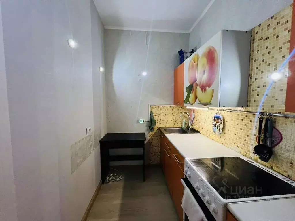 Студия Ленинградская область, Всеволожский район, Заневское городское ... - Фото 2