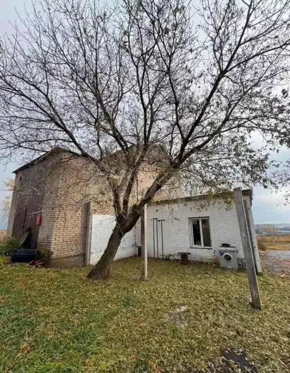 Помещение свободного назначения в Башкортостан, Кушнаренковский район, ... - Фото 1
