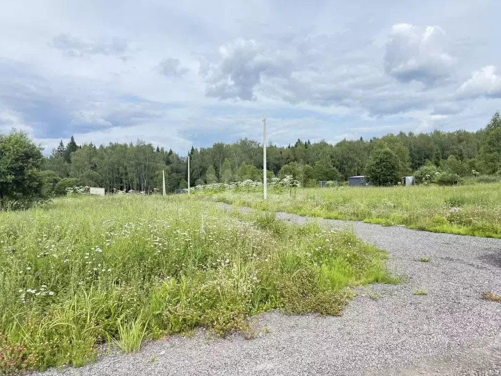 Участок в Калужская область, Боровский район, Ворсино с/пос, д. ... - Фото 2