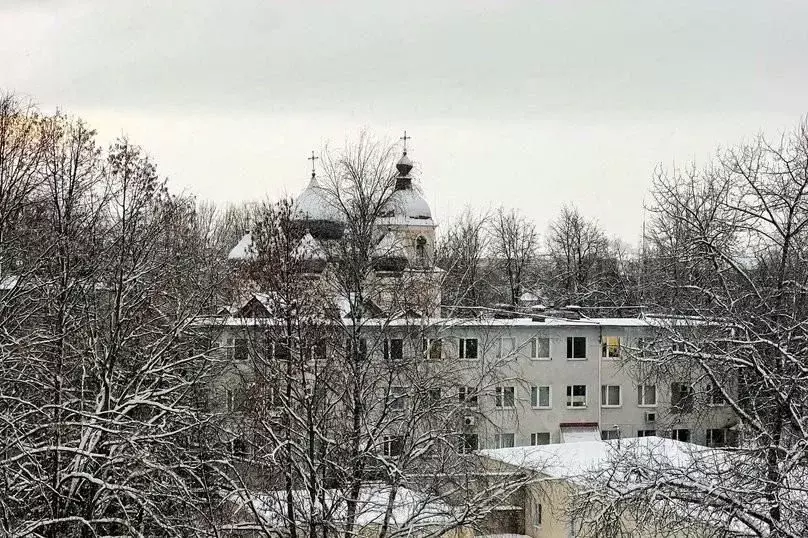 1-к кв. Новгородская область, Великий Новгород Большая ... - Фото 1