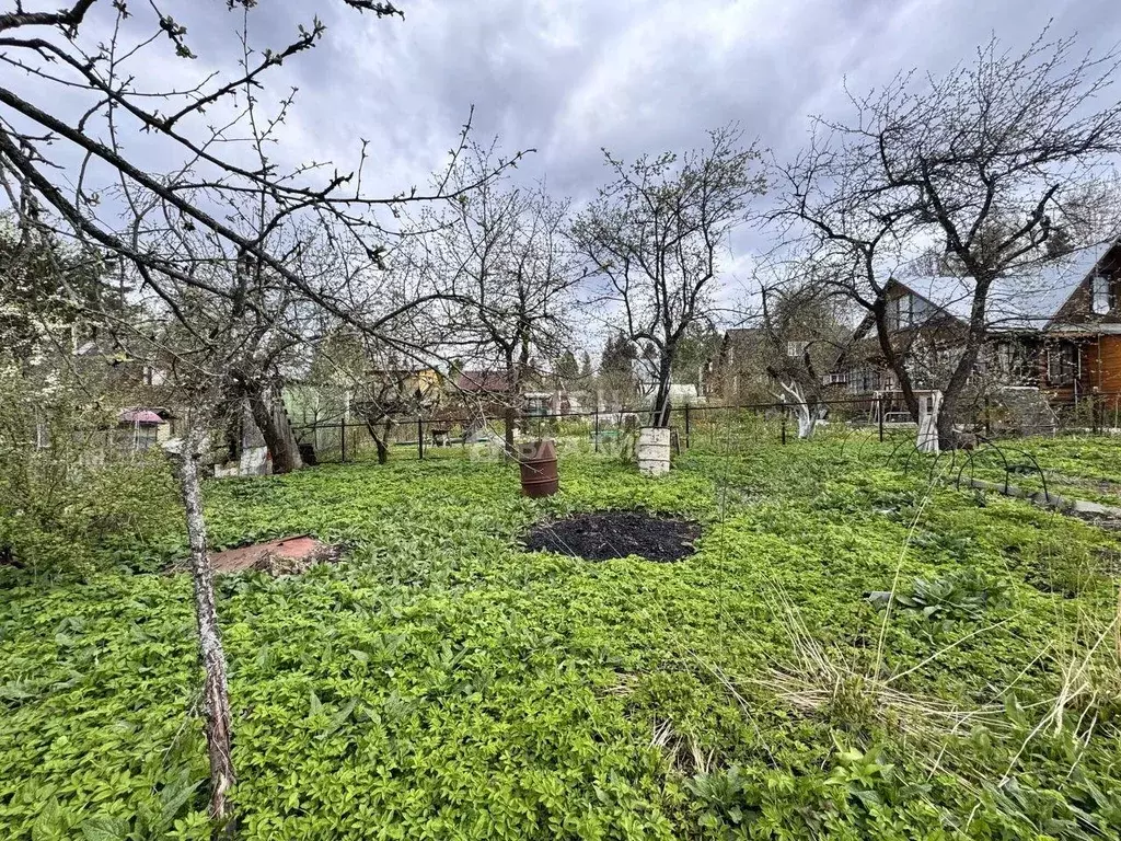 Участок, 8 сот., сельхоз (снт или днп) - Фото 1