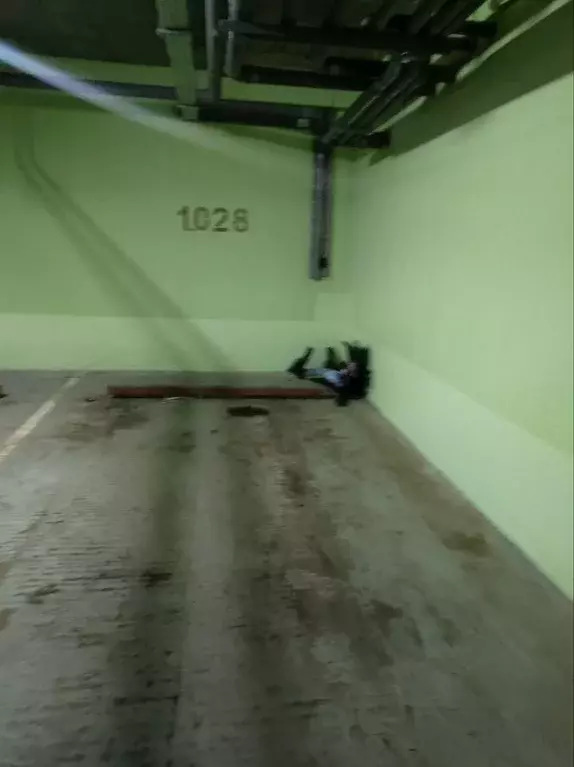 Гараж в Московская область, Богородский городской округ, с. Бисерово, ... - Фото 1