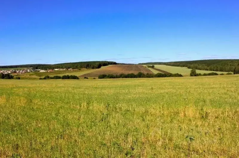 Участок в Челябинская область, Миасский городской округ, пос. Тыелга  ... - Фото 1