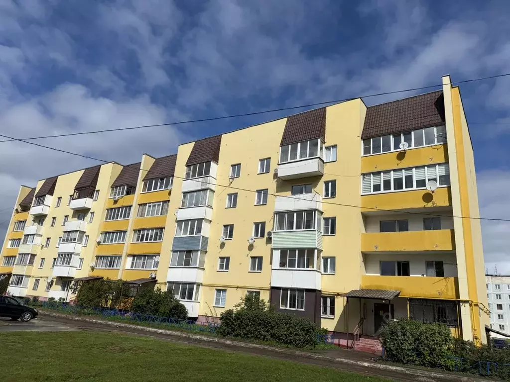 3-к кв. Московская область, Богородский городской округ, д. Большое ... - Фото 2