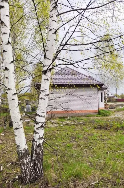Дом в Нижегородская область, Бор муниципальный округ, д. Васильково ... - Фото 1