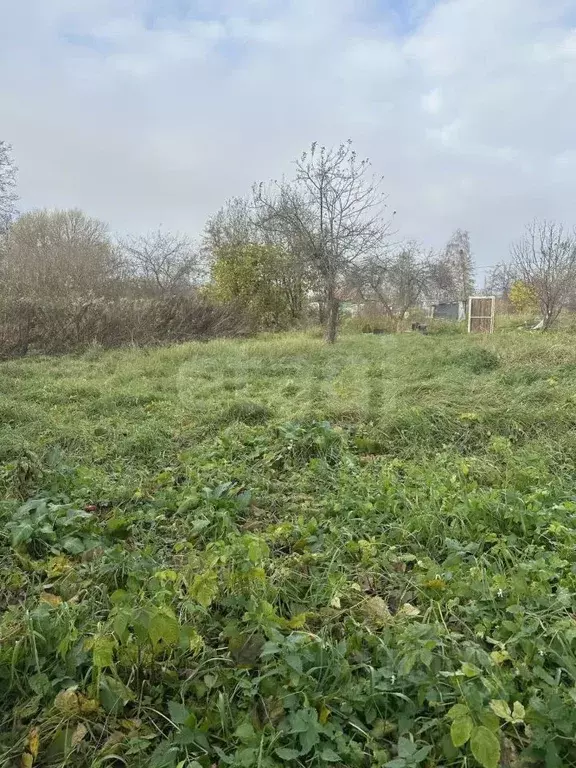 Участок в Калининградская область, Приморск ул. Дружная (5.86 сот.) - Фото 1