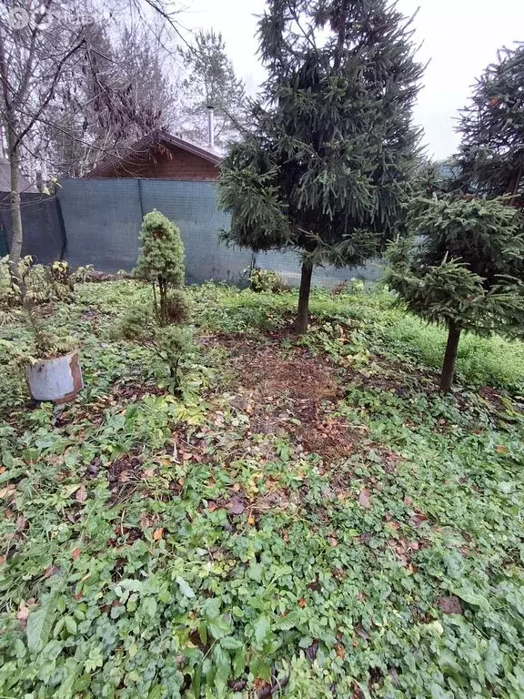 Участок в Владимирская область, Александровский муниципальный округ, ... - Фото 1