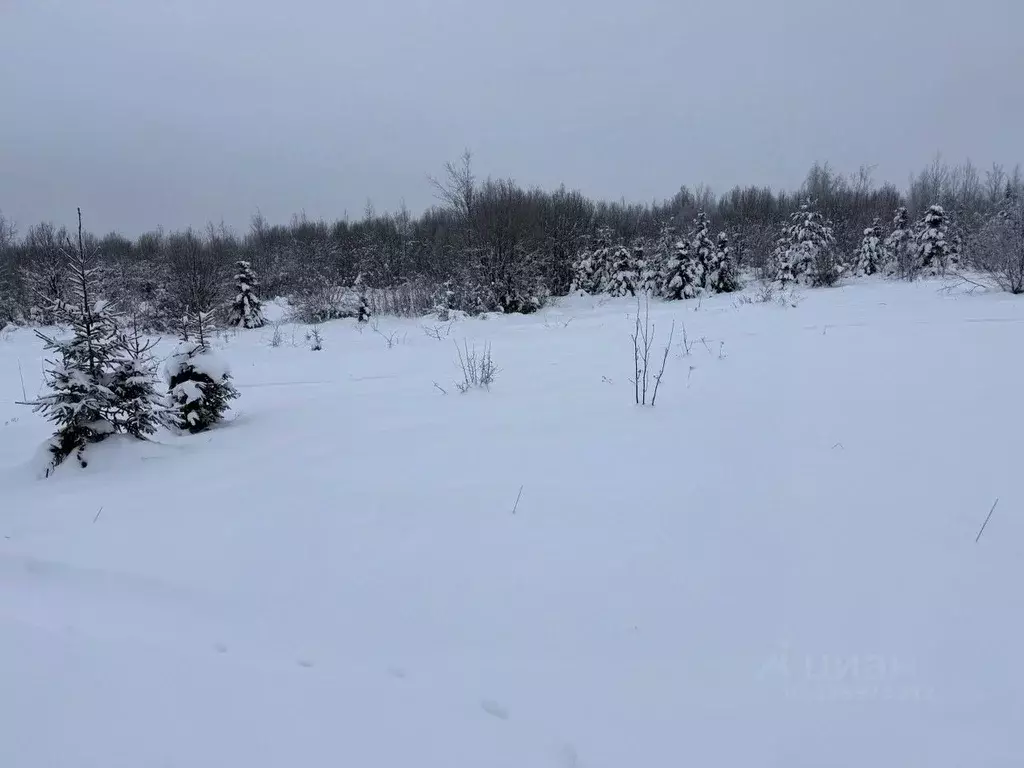 Участок в Московская область, Пушкинский городской округ, д. ... - Фото 0