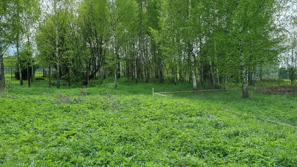 Участок в Московская область, Пушкинский городской округ, д. ... - Фото 0