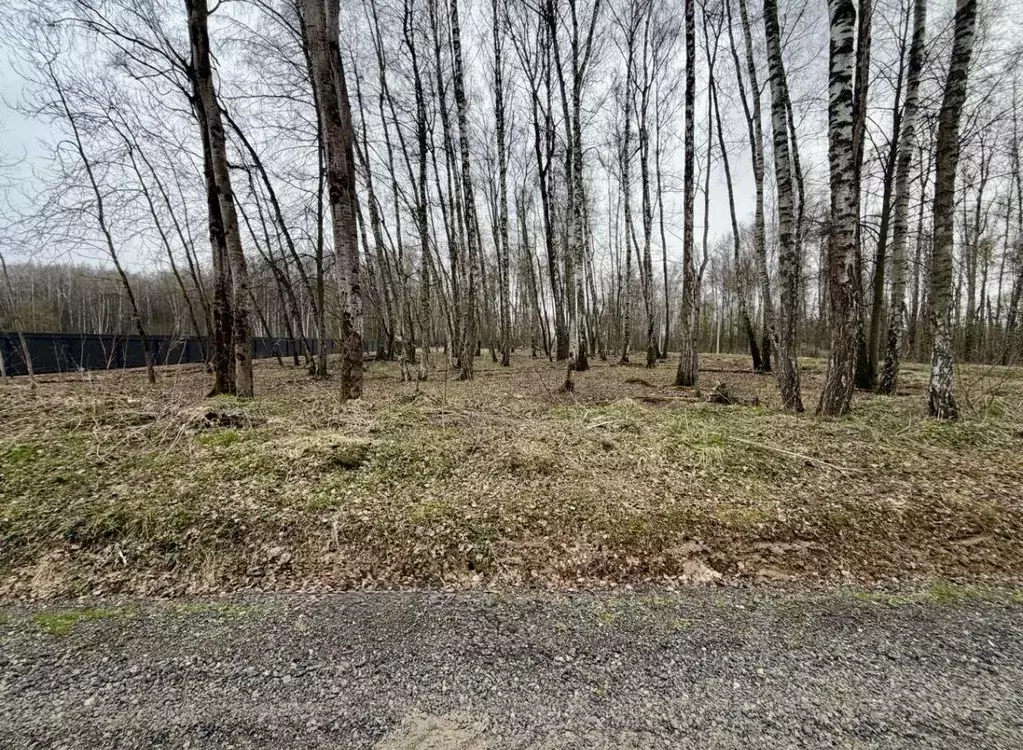 Участок, 8.9 сот., поселения (ижс) - Фото 0