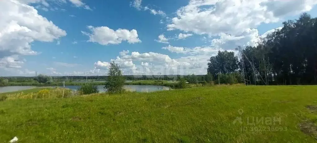 Участок в Нижегородская область, Кстовский муниципальный округ, с. ... - Фото 1