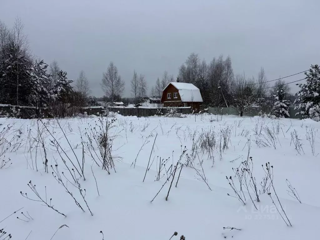 Участок в Московская область, Пушкинский городской округ, с. Ельдигино ... - Фото 1