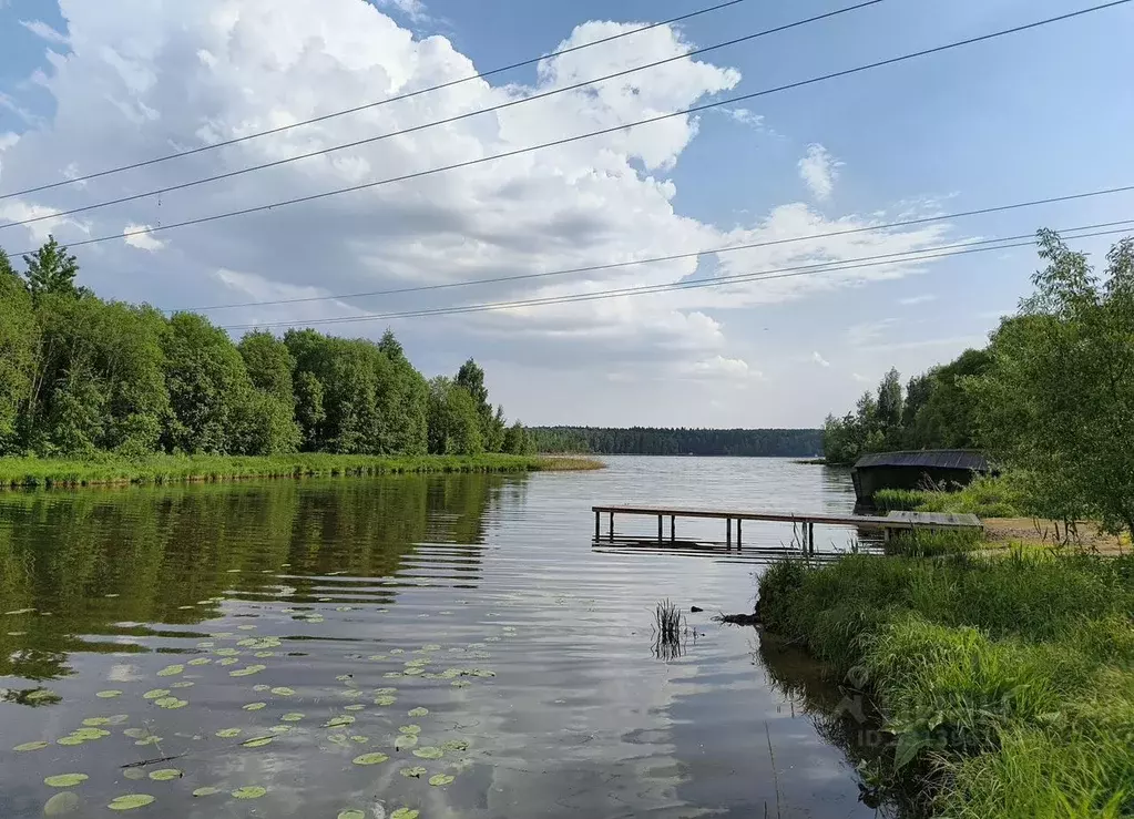 Участок в Московская область, Мытищи городской округ, д. Юрьево  (8.0 ... - Фото 2