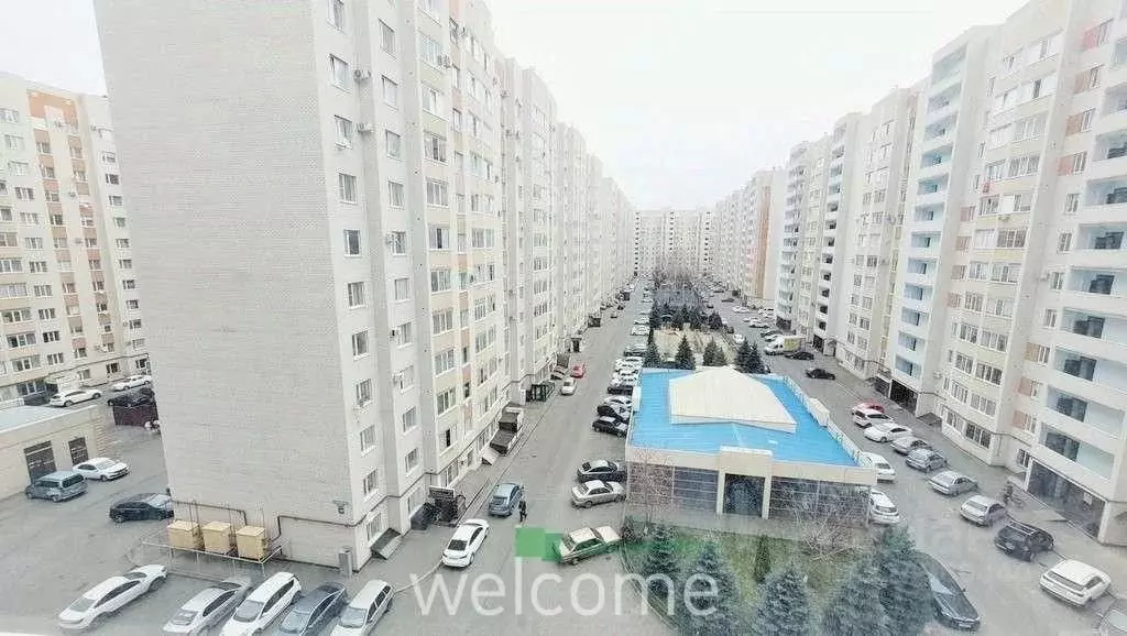 1-к кв. Ставропольский край, Ставрополь ул. Тухачевского, 24/3 (34.0 ... - Фото 2