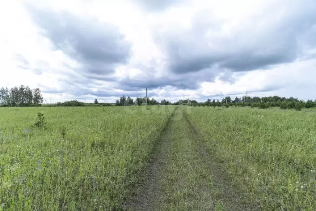 Участок в Тюменская область, Тюменский муниципальный округ, д. Елань  ... - Фото 1