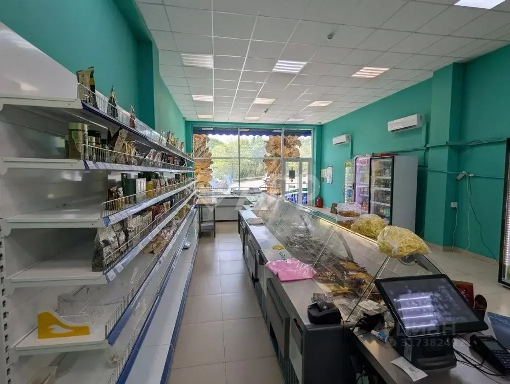 Торговая площадь в Краснодарский край, Новороссийск Цемдолина тер., ... - Фото 0