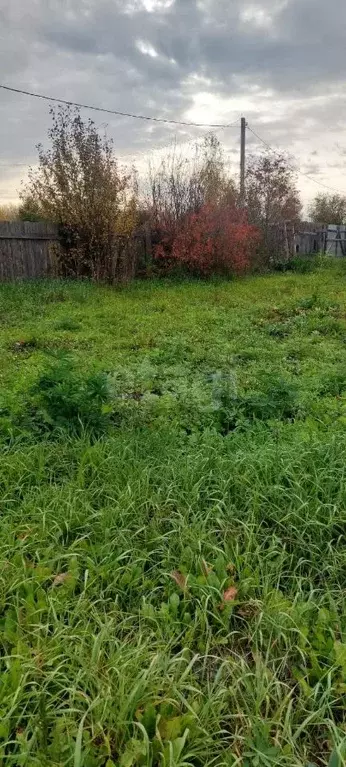 Участок в Новосибирская область, Искитимский район, Мичуринский ... - Фото 1