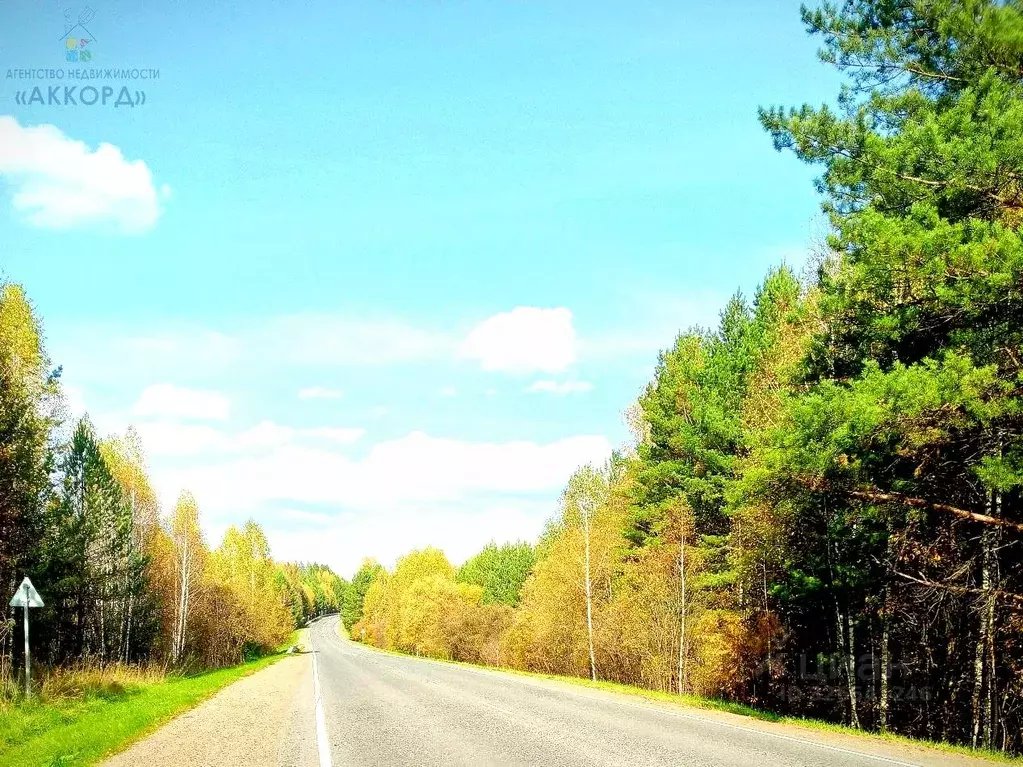 Участок в Алтайский край, Белокуриха ул. Бреславского (15.0 сот.) - Фото 1