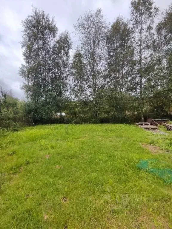 Участок в Псковская область, Псковский район, Тямшанская волость, ... - Фото 2