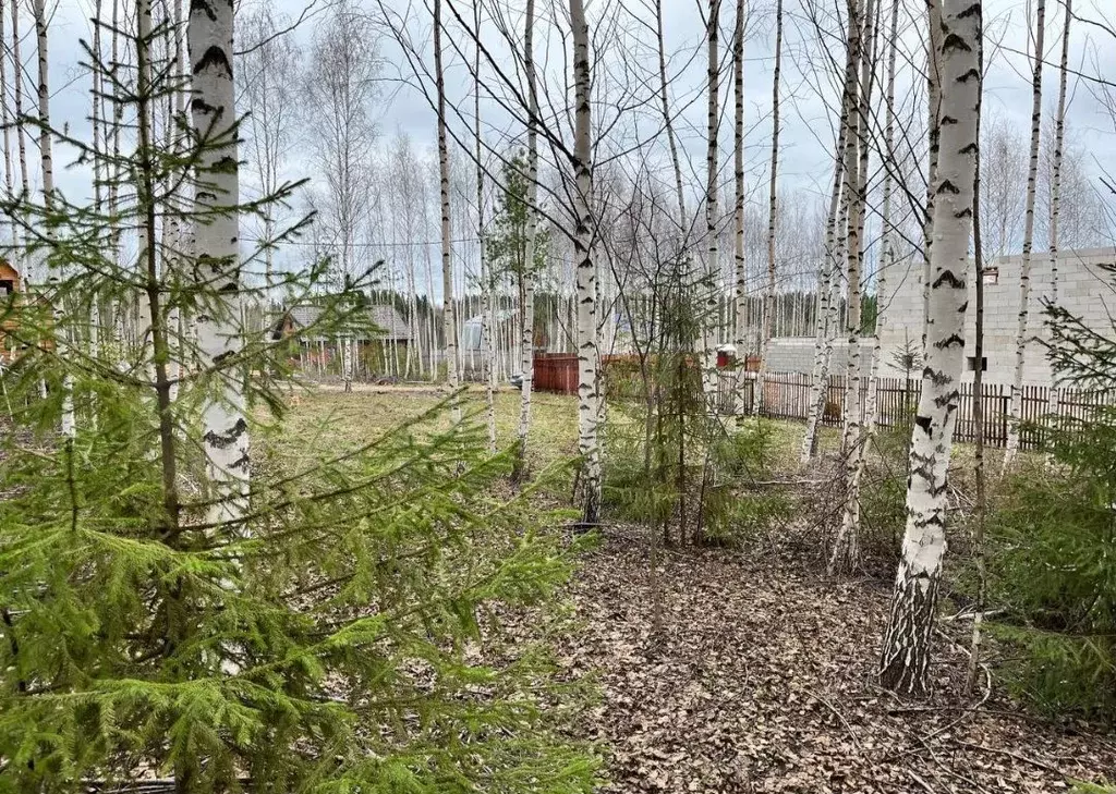 Участок 8 сот. (ИЖС) - Фото 0