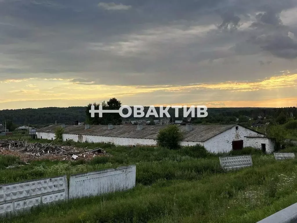 Склад в Кемеровская область, Яшкинский район, с. Колмогорово Мирная ... - Фото 0