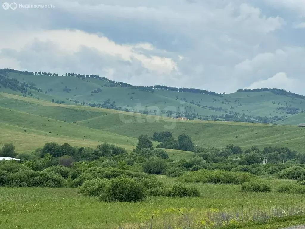 Участок в Алтайский район, ДНТ Жемчужина Алтая (9.6 м) - Фото 1