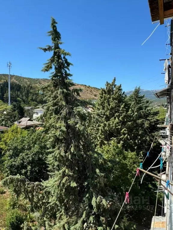 3-к кв. Крым, Алушта муниципальный округ, с. Рыбачье ул. Центральная, ... - Фото 2