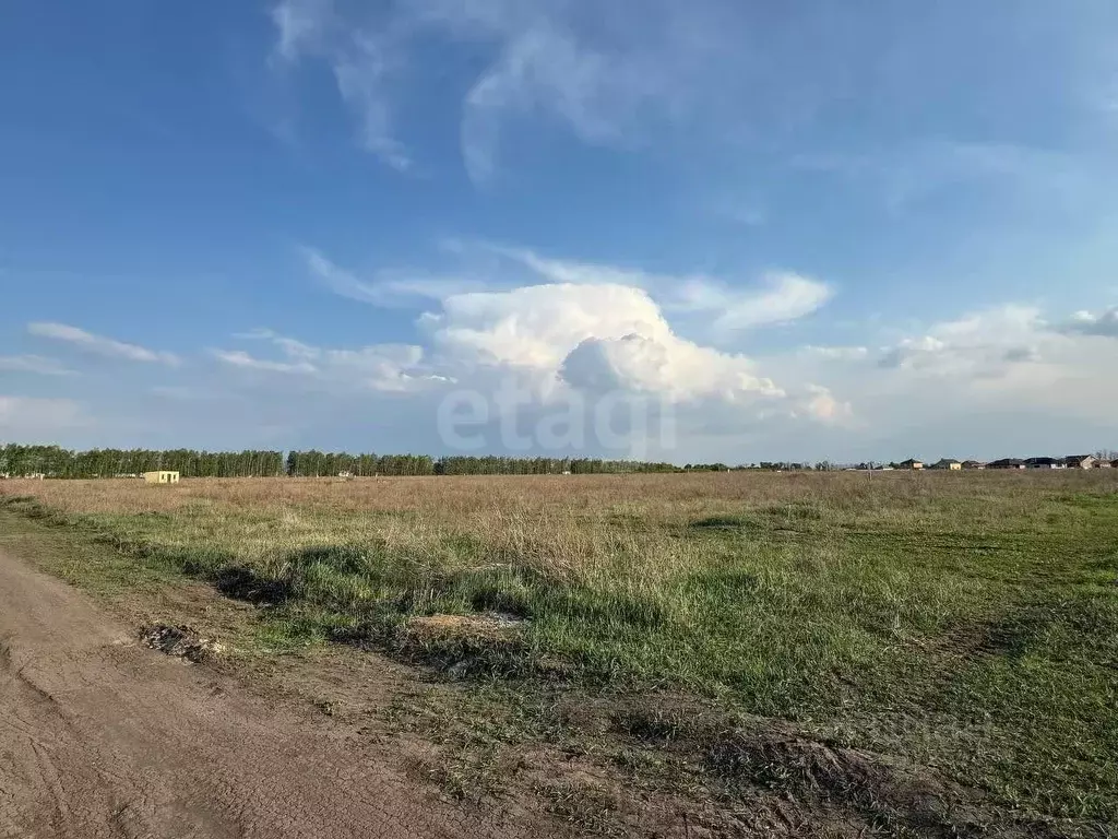 Участок в Белгородская область, Белгородский район, Хохловское с/пос, ... - Фото 0