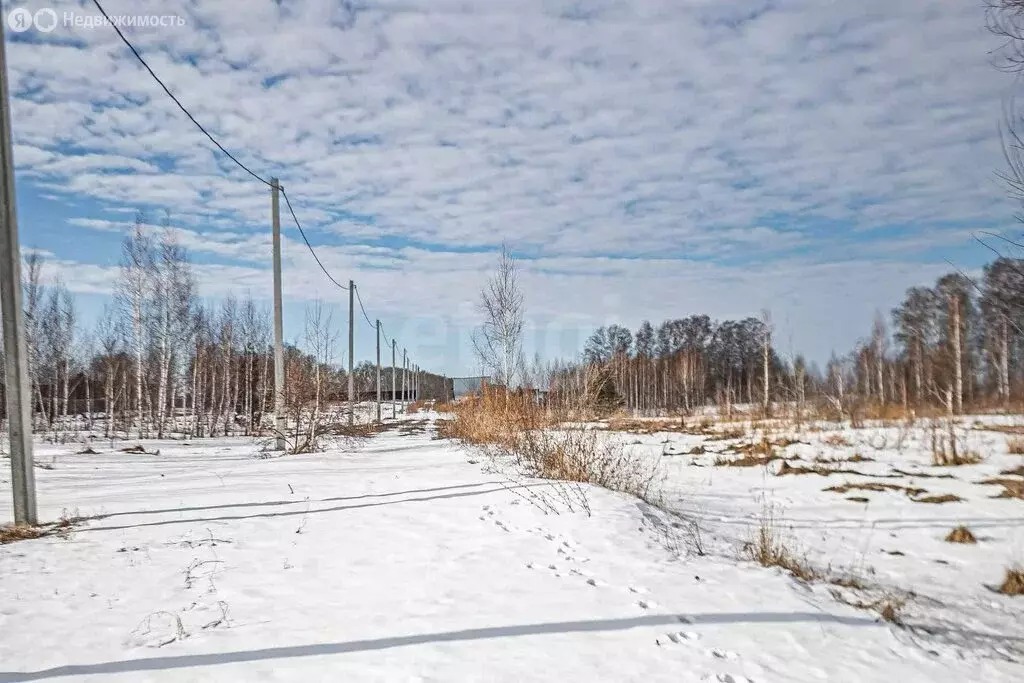 Участок в Новосибирская область, Бердск (10 м) - Фото 2