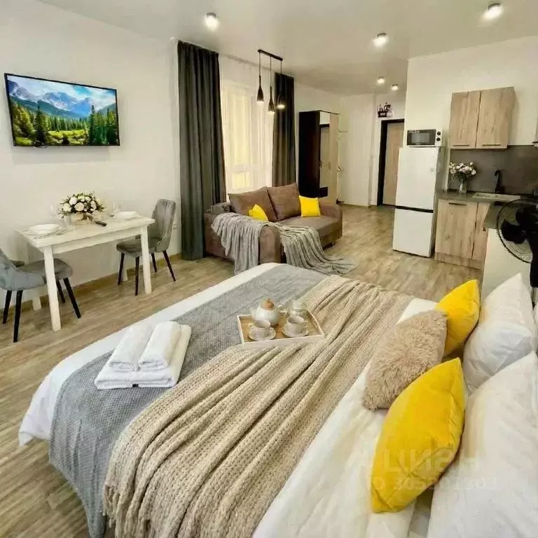 Студия Башкортостан, Уфа ул. Рудольфа Нуреева, 5 (30.0 м) - Фото 2