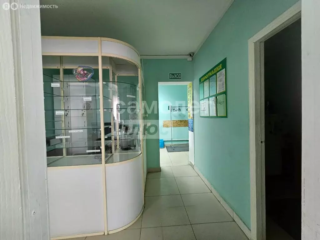 Помещение свободного назначения (53 м) - Фото 2